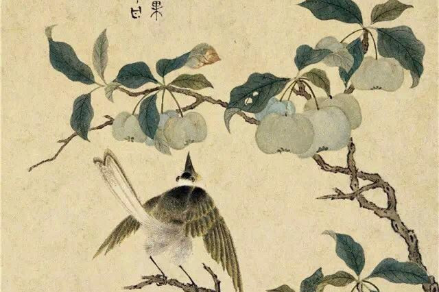 明清時(shí)代畫家陳明自繪畫的花卉動物