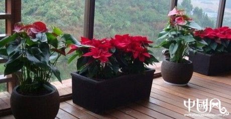 露天陽臺(tái)風(fēng)水禁忌