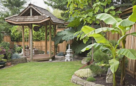 庭院大門朝向風(fēng)水細(xì)述，庭院植物風(fēng)水知識