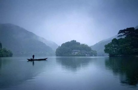 梧桐小筑，一幅靜靜舒展的水墨畫卷