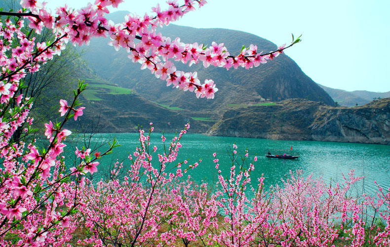 知道這些風(fēng)水布局，讓你的桃花運(yùn)滾滾而來(lái)