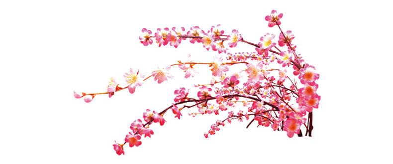 你知道如何看桃花運嗎？風水學來教你