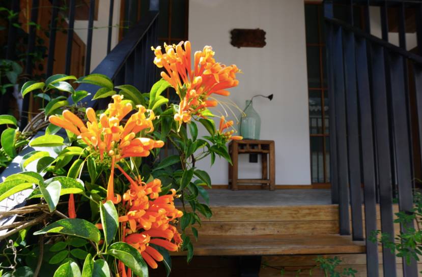 大理古城·果念，按照自己喜歡的方式活著