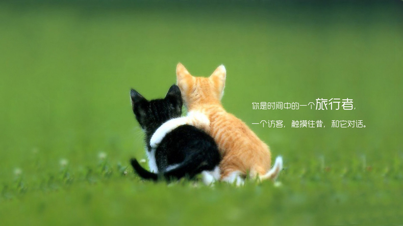 掌握這些風(fēng)水小妙招，讓你的愛情更加甜蜜