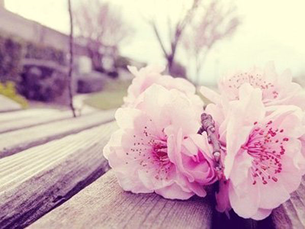 咸池桃花是什么？咸池桃花如何化解？